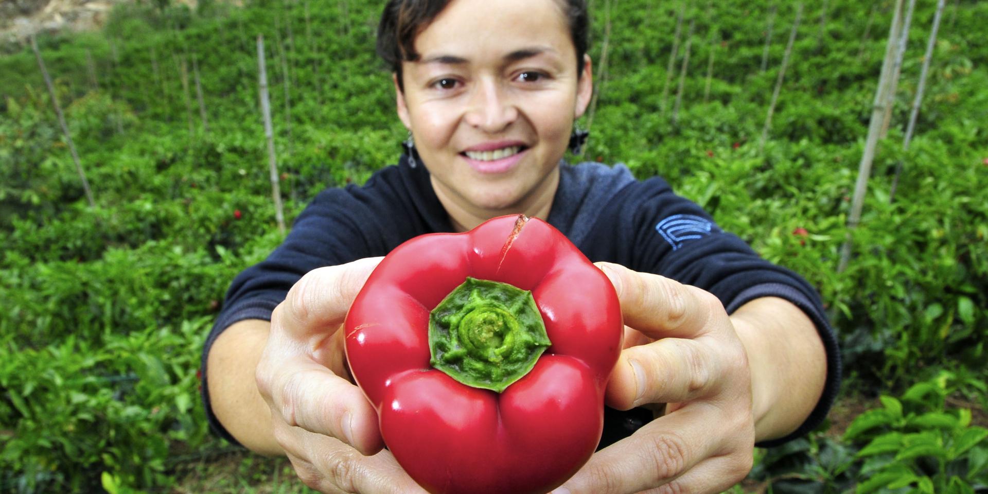 A coffee farmer who intercrops with pepper, at her farm in Cauca, southwestern Colombia.