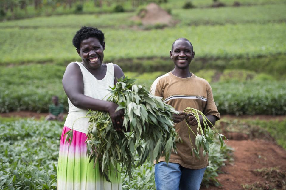 Jean Claude (R) is pictured selling some Kabode Orange Flesh Sweet Potato vines to a neighbour in rural Rwanda. Photo: CIP.