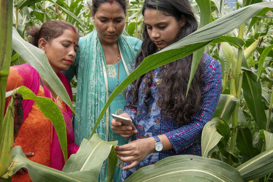 Farmers testing an app in the field in Nepal. Photo: C de Bode/CGIAR.
