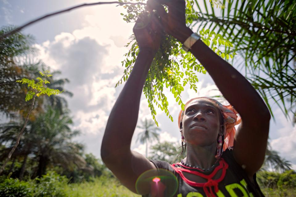 	 UN Women Guinea - Rural Women's Cooperative Generates Income and Improves Community Life