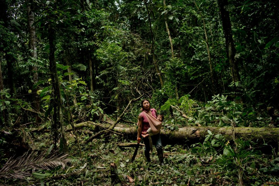 A Kichwa woman takes a rest from cutting down the forest. They are clearing an area to sow corn to feed their livestock near the Napo River in Orellana, Ecuador. 