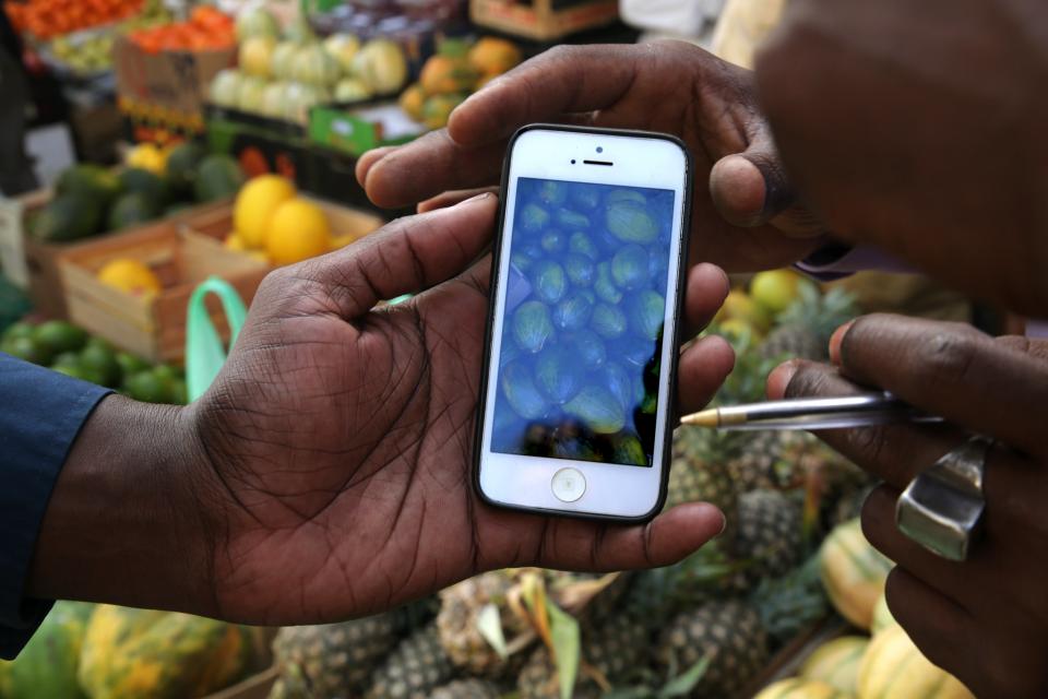 Fruit seller shows his watermelon produce on his cell phone.