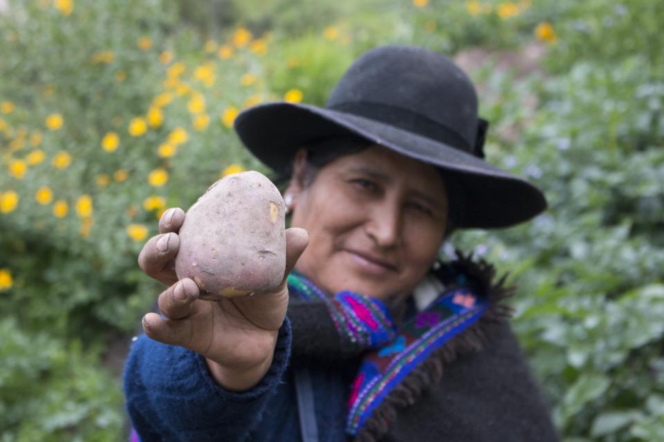 Photo of Peruvian woman w potato
