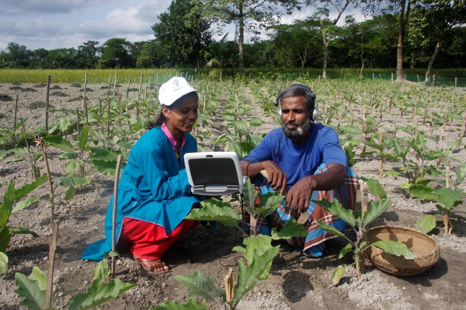 The Cereal Systems Initiative for South Asia project empowered young women by training them to provide ICT-based services to those who lack access to basic information on agriculture