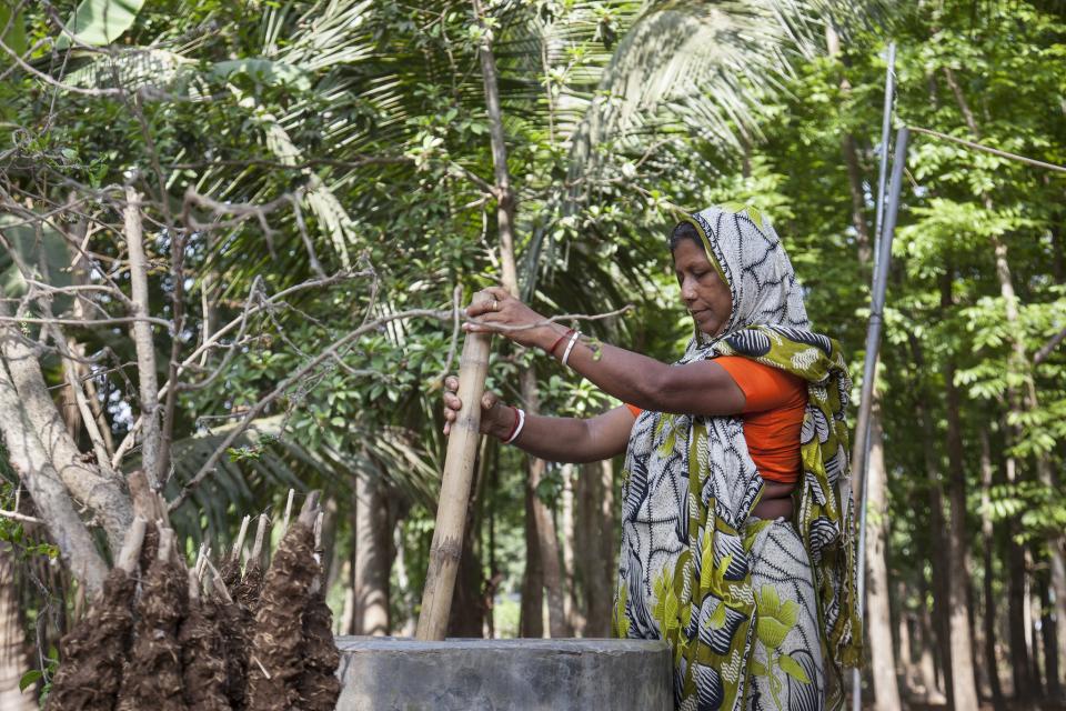 A Bangladesh woman holds a big stick and stirs big tub