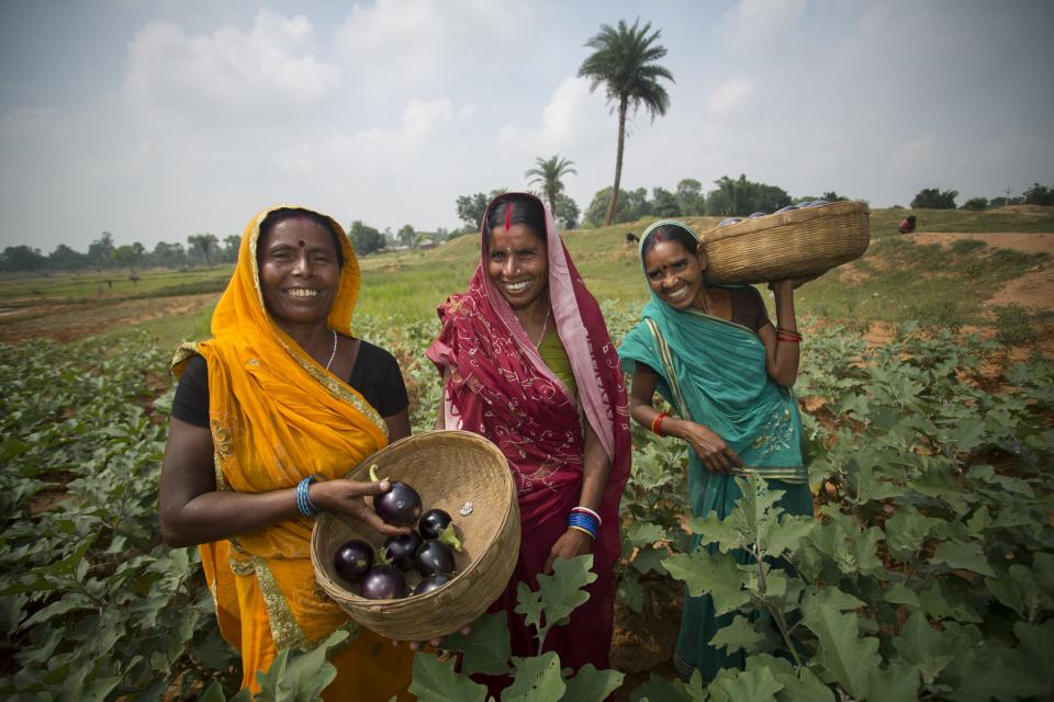 Women with vegetables in field