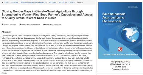 Screen shot of title, authors and abstract of paper on rice-seed farmers in Benin by Esperance Zossou, Afiavi R. Agboh-Noameshie and Alidou Assouma-Imorouy 