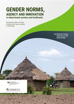 Gender norms, agency and innovation in wheat based systems and livelihoods: synthesis report of four community case-studies in Ethiopia