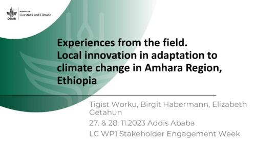Experiences from the field. Local innovation in adaptation to climate change in Amhara Region, Ethiopia