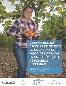 Diagnóstico de brechas de género en la cadena de valor de marañón en la región Golfo de Fonseca, Honduras