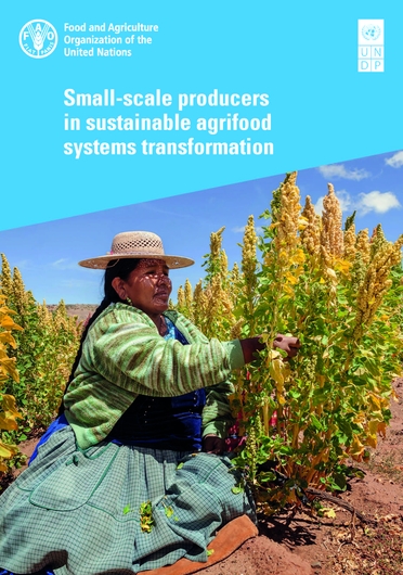 Small-scale producers in sustainable agrifood systems transformation