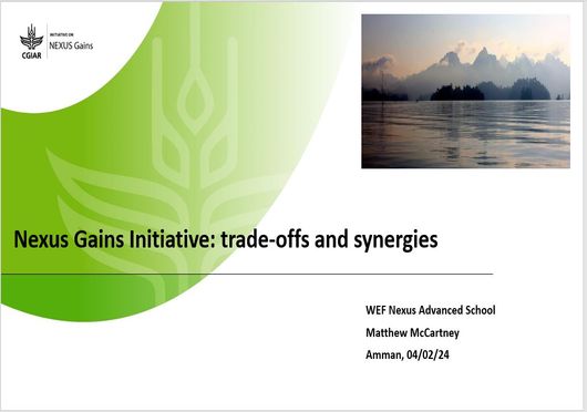 Nexus Gains Initiative: trade-offs and synergies