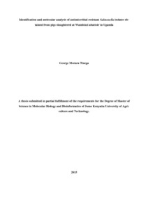 Identification and molecular analysis of antimicrobial resistant Salmonella isolates obtained from pigs slaughtered at Wambizzi abattoir in Uganda