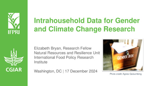 Intrahousehold data for gender and climate change research