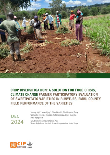 Crop diversification: A solution for food crisis, climate change. Farmer participatory evaluation of sweetpotato varieties in Runyejes, Embu County. Field performance of the varieties