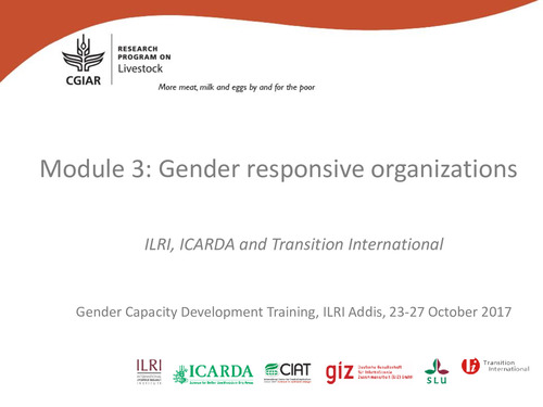 Gender Capacity Development Training Module 3: Gender responsive organizations