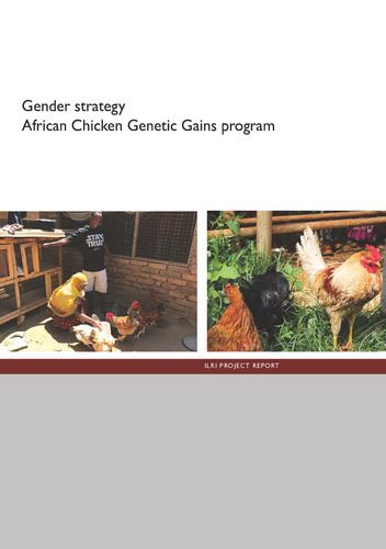 Gender strategy: African Chicken Genetic Gains program