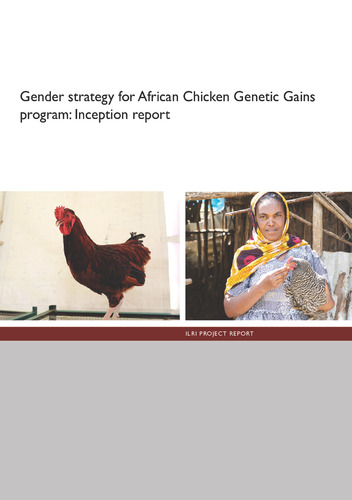 Gender strategy for African Chicken Genetic Gains program: Inception report