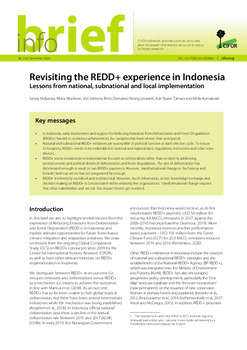 Revisiting the REDD+ experience in Indonesia: Lessons from national, subnational and local implementation