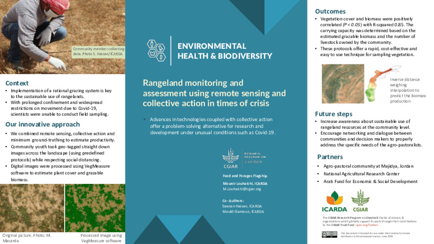 Rangeland monitoring and assessment using remote sensing and collective action in times of crisis