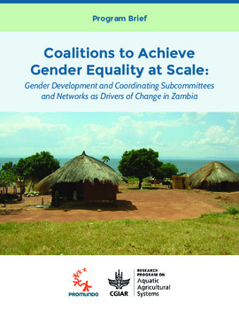 Coalitions to achieve gender equality at scale: Gender development and coordinating subcommittees and networks as drivers of change in Zambia