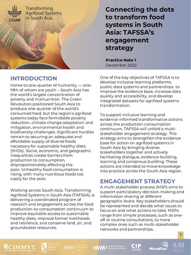 Connecting the dots to transform food systems in South Asia: TAFSSA’s engagement strategy