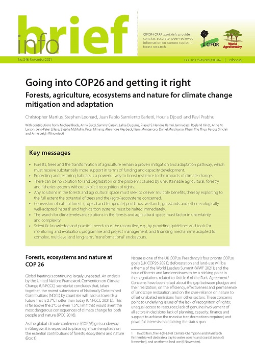 Going into COP26 and getting it right: Forests, agriculture, ecosystems and nature for climate change mitigation and adaptation