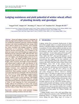 Lodging resistance and yield potential of winter wheat: effect of planting density and genotype