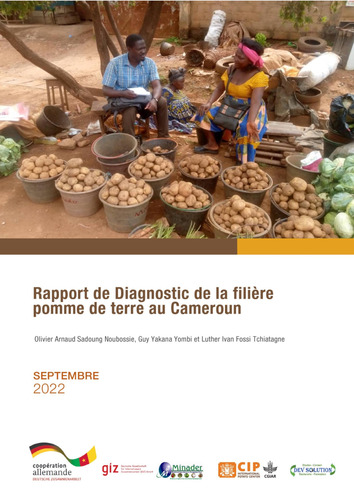 Rapport de Diagnostic de la filière pomme de terre au Cameroun
