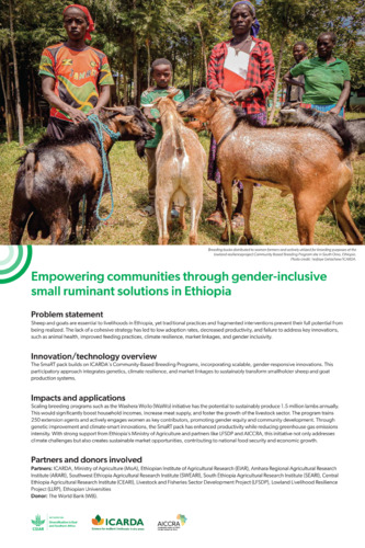 Empowering communities through gender-inclusive small ruminant solutions in Ethiopia