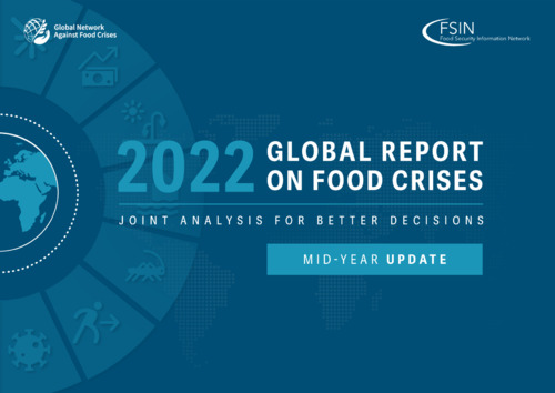 2022 Global food report on food crises: Joint analysis for better decisions: Mid-year update