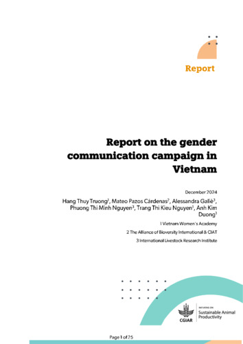 Report on the gender communication campaign in Vietnam