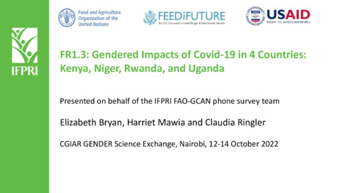 FR1.3: Gendered Impacts of Covid-19 in 4 Countries: Kenya, Niger, Rwanda, and Uganda