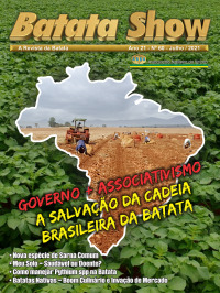 Batatas Nativas: do Cultivo Esquecido ao Boom Culinário e Inovação de Mercado