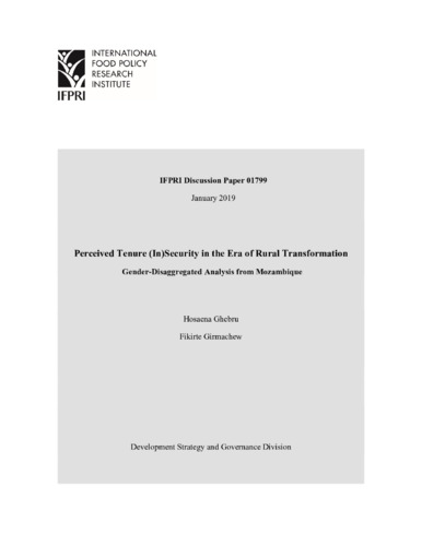 Perceived tenure (in)security in the era of rural transformation: Gender-disaggregated analysis from Mozambique