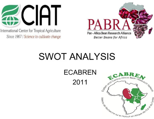 Swot Analysis: ECABREN