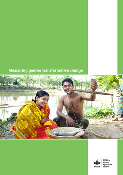 Measuring gender transformative change