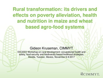 Rural transformation: its drivers and effects on poverty alleviation, health and nutrition in maize and wheat based agro-food systems