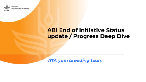 ABI End of Initiative - 2024 Progress Deep Dive of the yam breeding team from IITA
