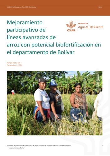 Mejoramiento  participativo de  líneas avanzadas de  arroz con potencial biofortificación en  el departamento de Bolívar