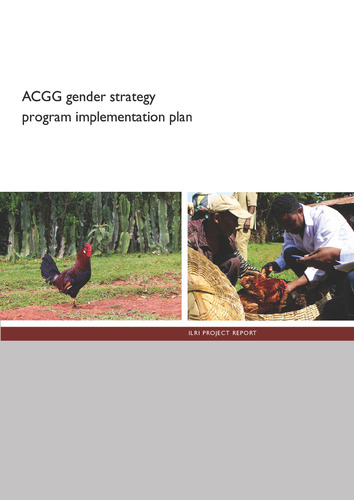 ACGG gender strategy program implementation plan