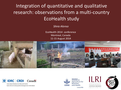 Integration of quantitative and qualitative research: Observations from a multi-country ecohealth study