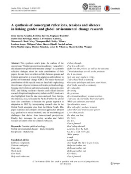 A synthesis of convergent reflections, tensions and silences in linking gender and global environmental change research