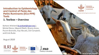 Introduction to Epidemiology and Control of Peste des Petits Ruminants (Eco-PPR) tools. 7.2 Participatory Disease surveillance (PDS)―Research Guide