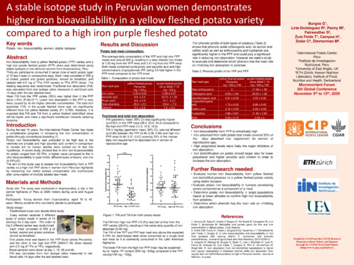 A stable isotope study in Peruvian women demonstrates higher iron bioavailability in a yellow fleshed potato variety compared to a high iron purple fleshed potato