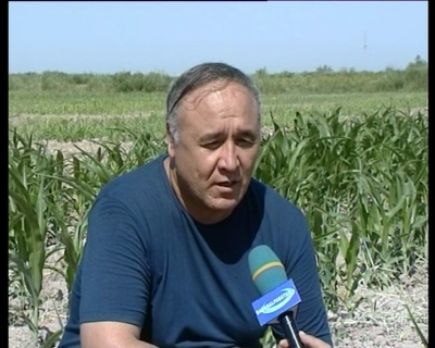 News coverage of the Field day in Karao'zak district in local TV