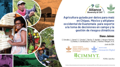 Agricultura guiada por datos para maíz en Chipas, México y altiplano occidental de Guatemala para soporte a la toma de decisiones en campo y la gestión de riesgos climáticos (PCCMCA)