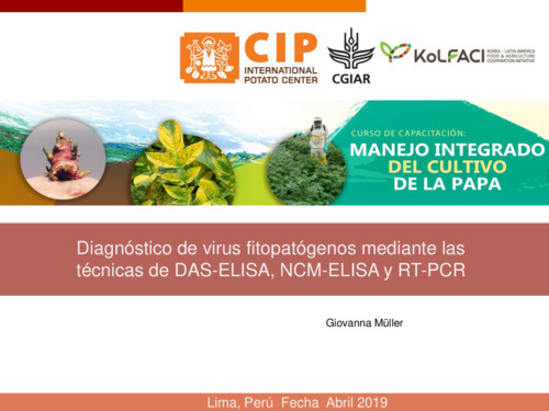 Diagnostico de virus fitopatogenos mediante las tecnicas de DAS-ELISA, NCM-ELISA y RT-PCR