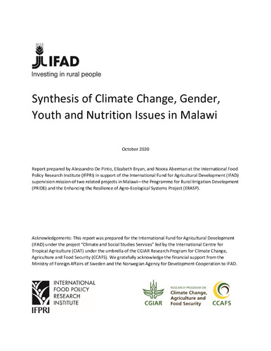 Climate change, gender, youth and nutrition situation analysis – Malawi