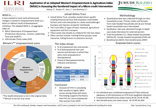 Application of an adapted Women’s Empowerment in Agriculture Index (WEAI) in assessing the gendered impact of a micro-credit intervention